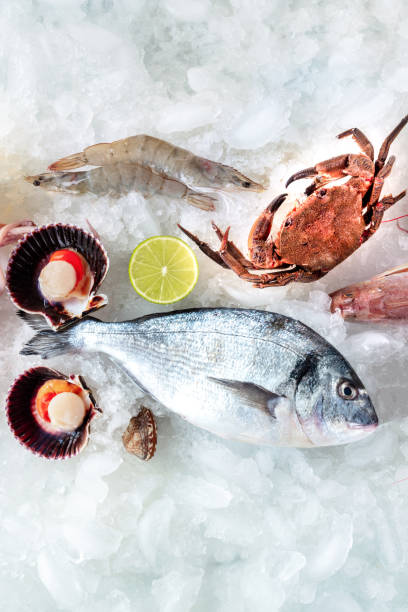 istock Seafood. Fresh fish, scallop, crab, and prawn on ice, overhead flat lay 2147531089