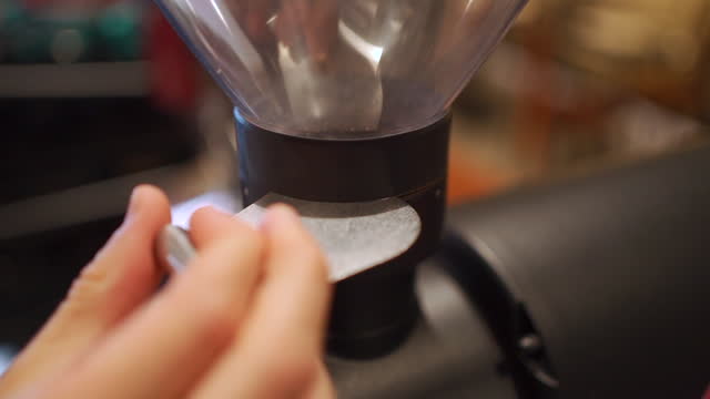 barista hand filling coffee grinding machine with beans of arabica or robusta