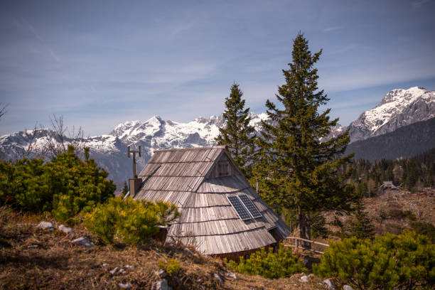 istock Velika Planina, Slovenian Alps 2147536546