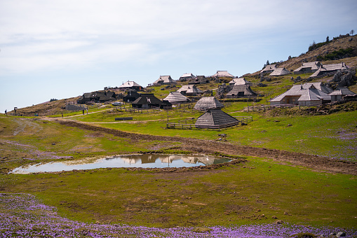 View of a shepherd’s village and meadows covered with blooming saffron