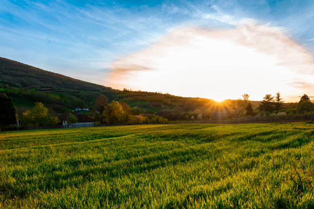 Beautiful countryside landscape at dusk