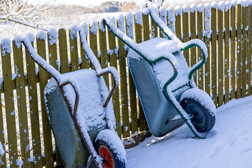 An image of two snow-covered wheelbarrows upended and leaning against a picket fence.