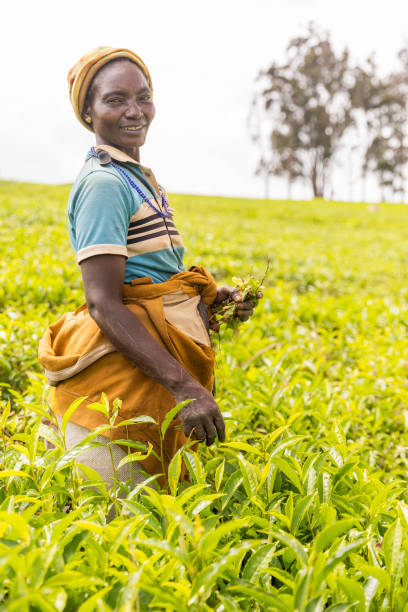 Ethiopian lady selling ethiopian coffee at \