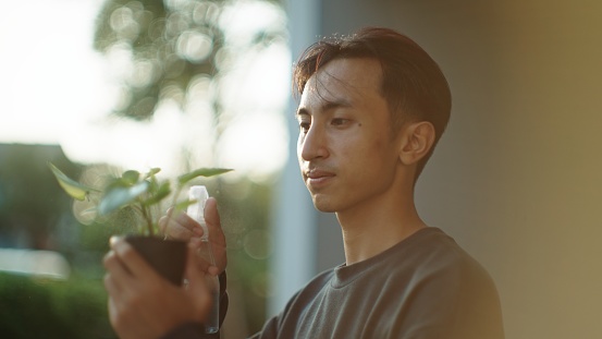 Young asian man spraying water to the small plants during sunset.
