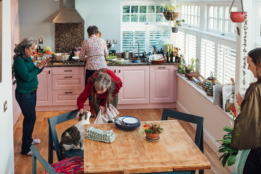 A wide shot of a group of mature female friends gathered together inside a home in Hexham, Northumberland. They are in the kitchen, preparing for a meal together. One of them is busy at the kitchen counter, whilst another strokes the cat which sits on one of the dining chairs.