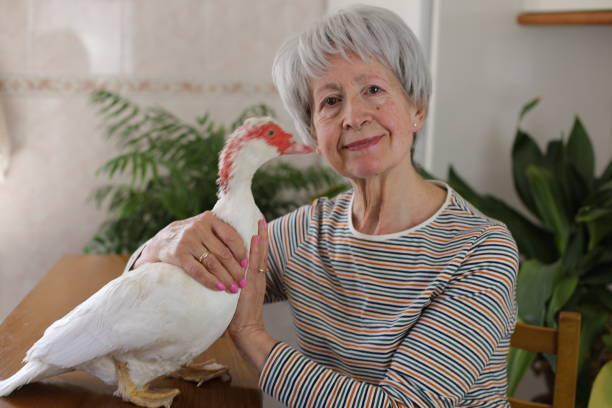 Senior woman and her duck