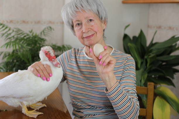 istock Senior woman showing a delicious looking duck egg 2147547927