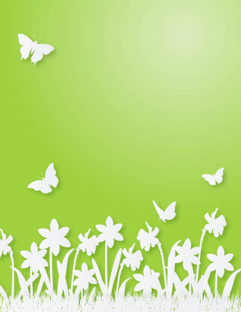 garden silhouette in paper cut style - daffodil flower silhouette butterfly stock-grafiken, -clipart, -cartoons und -symbole
