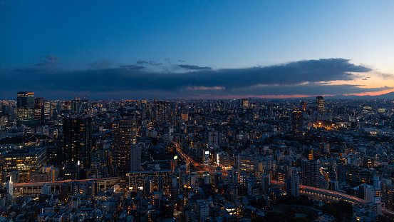 Tokyo, Japan - March 21, 2024: Tokyo building skyline at night.