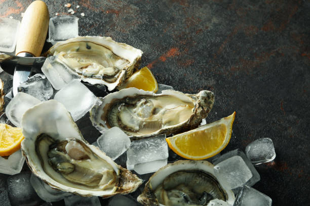 istock Concept of seafood, oysters, space for text 2147553776