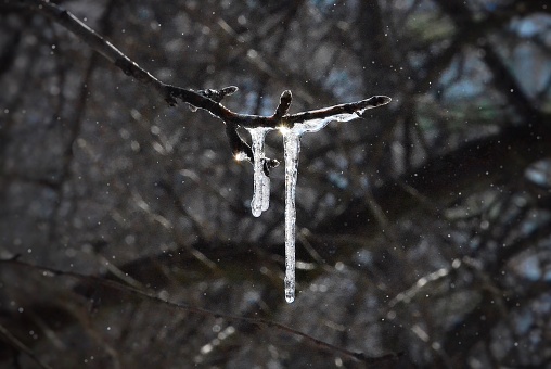 A close-up of an icicle on a sunny day, winter, Ukraine