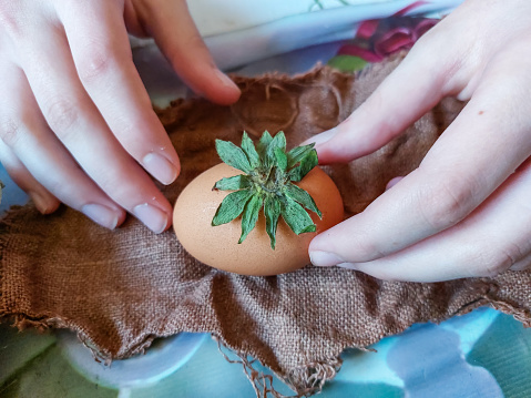 Home made Easter egg coloring by using different leaves, plants and flowers. Womans hands putting leaves on egg on marl