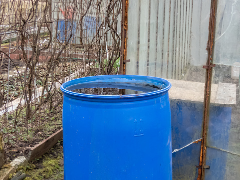 Plastic water barrel reused for collecting and storing rainwater for watering plants full with water in early spring