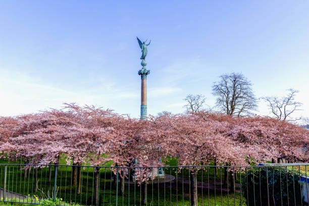 istock Cherry Blossom in Langelinie park 2147562018
