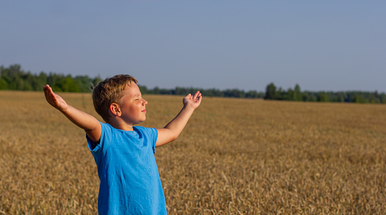Copy space. With his arms outstretched, the child stands in a wheat field and exposes his face to the sun's rays. A child is playing in a wheat field on a clear summer day. Summer concept, freedom..