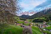 Santa Magdalena village against the Geisler mountains covered with snow and blossoming tree at sunset, Val Di Funes valley in Dolomites mountains, South Tyrol, Italy
