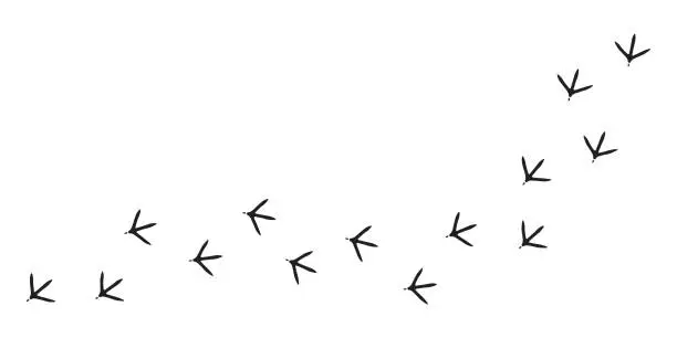 Vector illustration of Paws, chicken tracks, diagonal path of chicken tracks, vector black silhouettes.