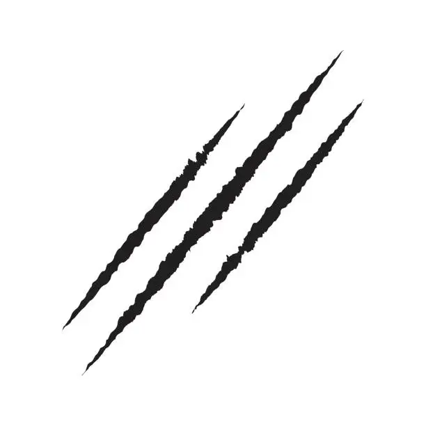 Vector illustration of Scratches from animal or wolverine, claws three black scratches.