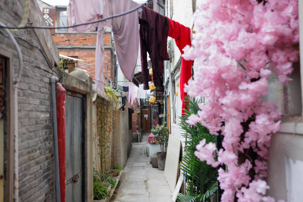 A small  shikumen lane in Tianzi Fang,Shang Hai on March 31,2024.