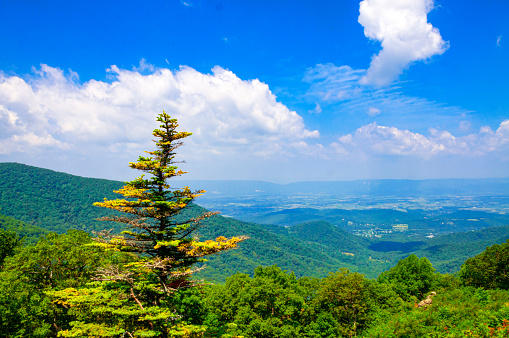 Blue Ridge Parkway Scenic Mountains Overlook Summer Landscape Asheville NC at Craggy Gardens in WNC
