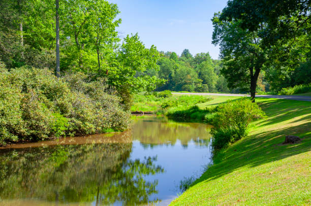 Rakes Mill Pond in the Blue Ridge Mountains