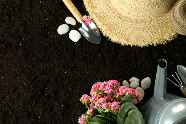 istock Accessories and tools for gardening on soil background 2147567788
