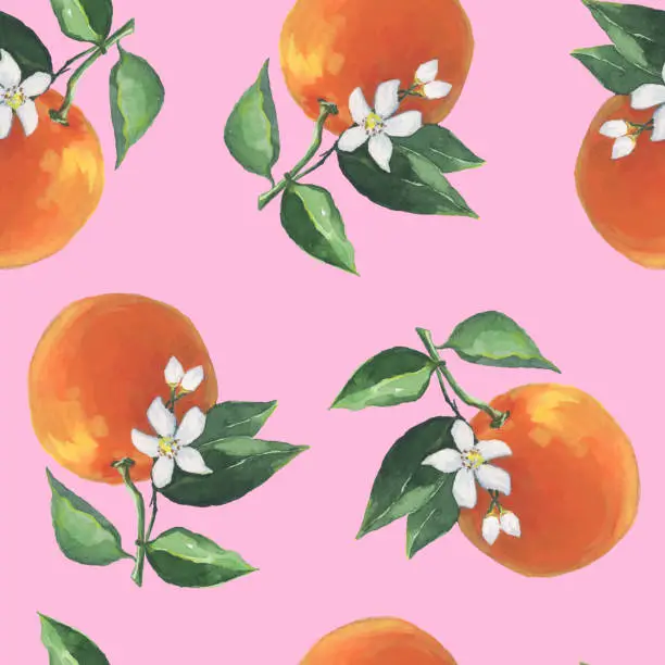 Vector illustration of Oranges Pattern illustration with watercolor in vector on pink