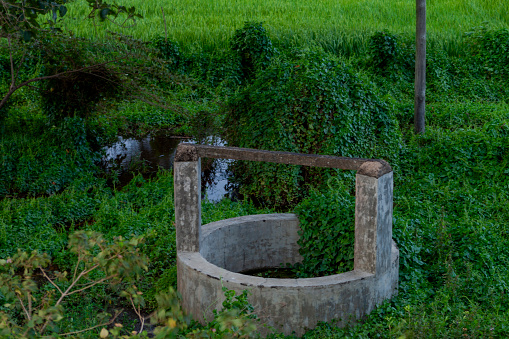 Abandoned well in a paddy field in rural Sri Lanka