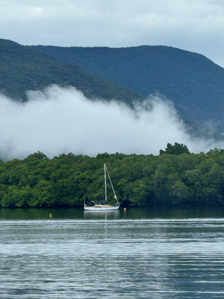 A small sailboat is floating on a lake in the misty mountains. The scene is serene and peaceful, with the boat being the only object visible in the water
