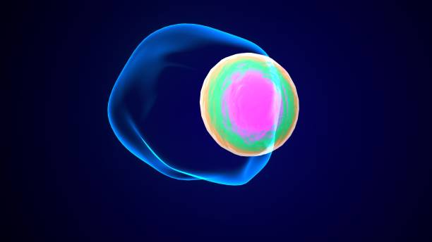 istock human cell division anatomy. 3d illustration 2147571264