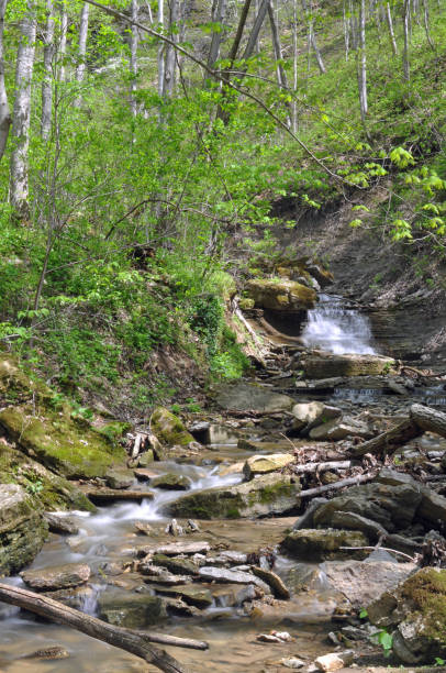 istock Deadman Creek Falls and area, Hanover, Indiana 2147571379