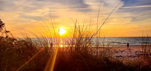 indian rocks beach, florida sunset 4/7/2024 - mexikanska golfen bildbanksfoton och bilder