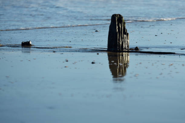 Water's edge along the west coast of Vancouver Island.