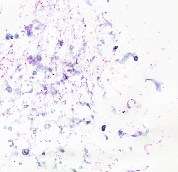 istock Bilberry stains on white paper. Abstract background 2147573235