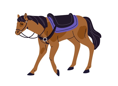 Domestic spotted horse with rein and saddle. Ranch animal, pet, livestock relax. Filly, mare for equestrianism. Flat isolated vector illustration on white background.
