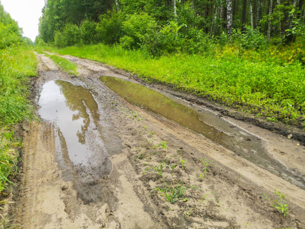 istock Dirt road with puddles after rain 2147574780