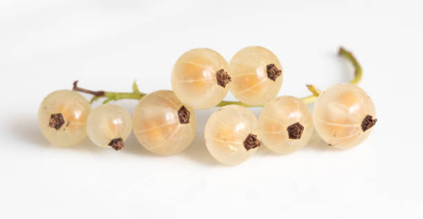 istock Berry yellow currant isolated on white background. Close-up 2147574950