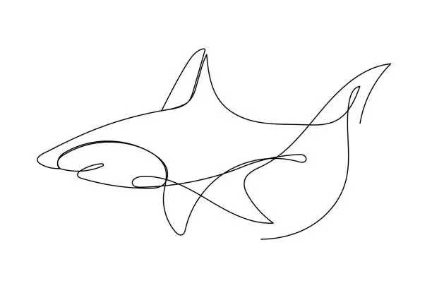 Vector illustration of Line Art Shark Fish Editable Curve Continuous Outline Drawn Symbol Element Doodle Icon isolated On White Background