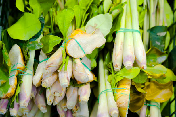 Bunches of thai lemen grass with lemon leaves