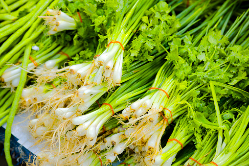 Bunches of thai scallions at local market