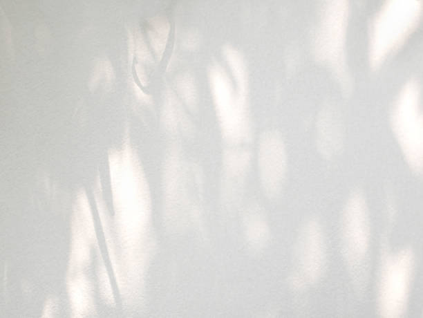 istock Abstract shadow of leaves on a white wall background 2147584570