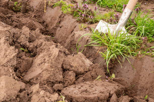 istock The agricultural plot is dug up with a shovel. Manual tillage. 2147584804