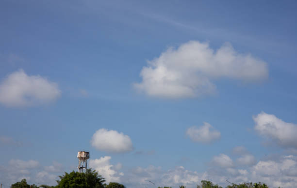 A scenic view of trees against a tranquil sky with soft, scattered clouds creating a serene atmosphere