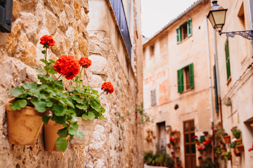 Charming narrow alleys lined with vibrant flower pots against the sandstone walls of the quaint village of Valldemosa. Color editing. Part of a series.