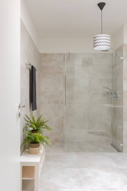 istock Modern bathroom interior with shower and glass partition. On the right two small plants. 2147587443