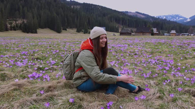 Woman with Backpack  Sitting on Meadow of Blooming Safron Crocuses Admiring View of Tatras Mountains