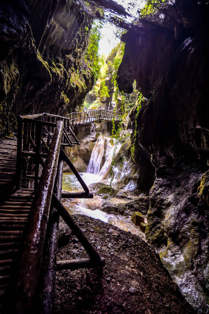 istock Pathway Wooden Footbridge 2147590593