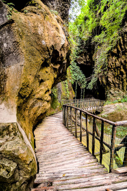 istock Pathway Wooden Footbridge 2147590628