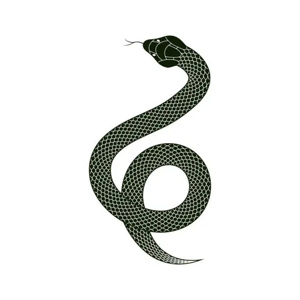 Vector illustration of Black snake on white background. Vector illustration