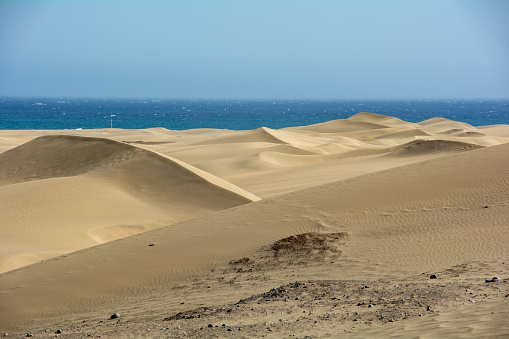 The dunes of Maspalomas on Gran Canaria in Spain, with sea and blue sky. The huge sand dunes resemble a small desert and are a nature reserve.